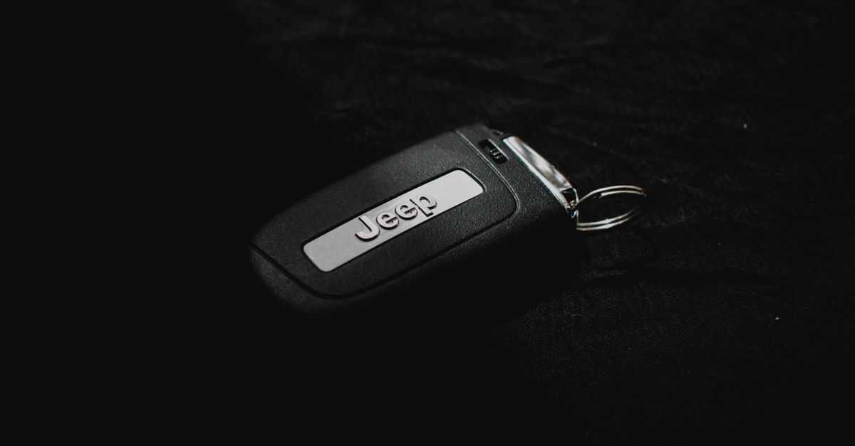 Ford car key fob — מנעולן בגבעתיים